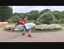 【ときかわひかる】 きょうもハレバレ 踊ってみた 【のん】