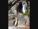 グレープ君ありがとう