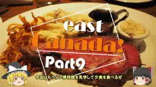 【ゆっくり】東カナダ一人旅　Part9　素敵なステーキ