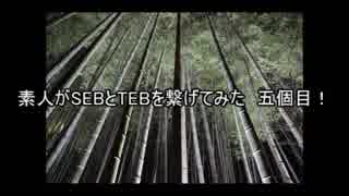 素人がSEBとTEBを繋げてみた 五個目！