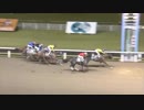 2017年10月13日川崎競馬11R 川崎市長選挙記念(B2-二・B3-一) マサノジェット