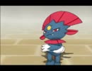 ポケモンＳＭ：ランダムフリーを喋りながらやるよ エースキラーたま