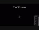 ホモと見る The Witness 100% WR.mp1
