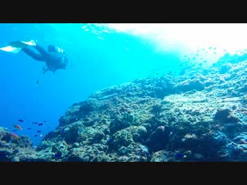 【雨女の旅動画】 神津島ダイビング 【其の壱】