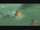 自由すぎるリンクの冒険【プレイ動画その１８９】