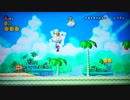 NEWスーパーマリオWii 15