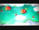 NEWスーパーマリオWii 33
