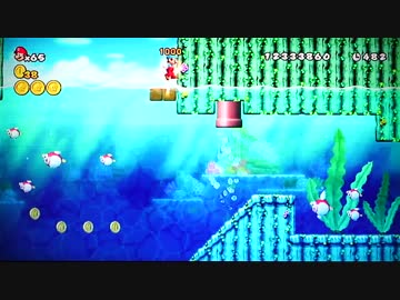 NEWスーパーマリオWii 45