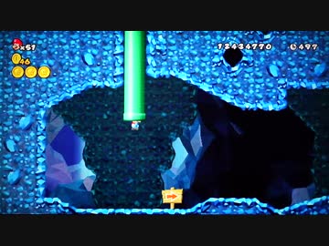 NEWスーパーマリオWii 55