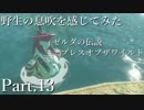 野生の息吹を感じてみたゼルダの伝説ブレスオブザワイルド　 part13