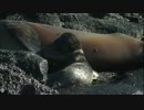 菅原一秀　ミルクタイム