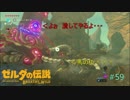 【ゼルダの伝説BW】憎き相手と再戦！＃59【ボソボソプレイ 】