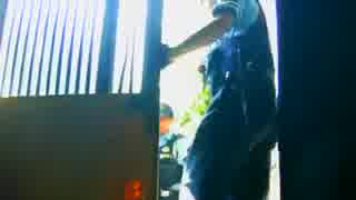 母親を遺棄したニートの家へ突入する警察官一部始終