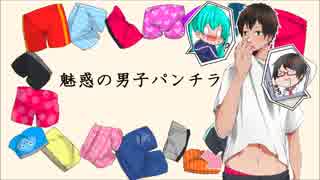 【初音ミク】魅惑の男子パンチラ【オリジナル曲】