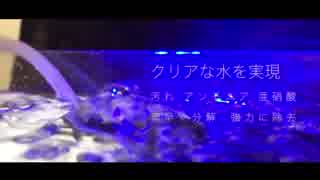 水作エイトコアM  【オリジナルMV】