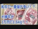 国産牛最大クラス 1万円で十勝牛1.6kg 北海道 幕別町【ふるさと納税】