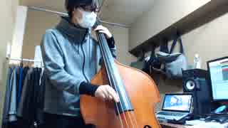 【ウッドベース】「レディーレ」ウッベで弾いてみた。