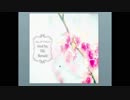 【クトゥルフ神話TRPG　オンセ】Good bye, 15th Mermaid【赤裸々部】