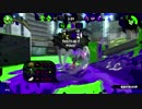 【無編集】チームイカ隊プラべ（Squidarmy）