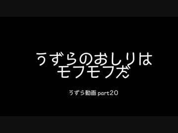 【うずら動画】うずらのおしりはモフモフだ【パート２０】