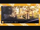 【韓国版】けものフレンズ - フレンズの自己紹介：サーバル編