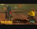 【ゼルダの伝説BW】ガーディアン戦敗北の連続＃60【ボソボソプレイ 】