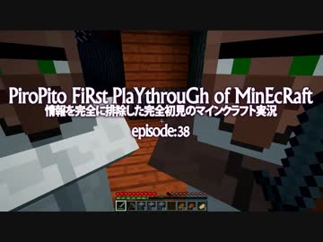 情報完全遮断完全初見でマインクラフト#38