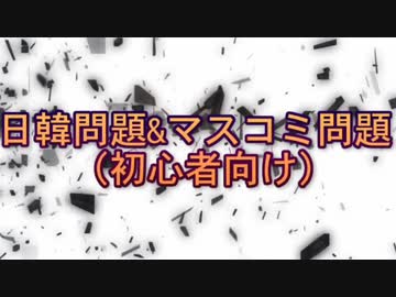 【マスコミ問題】オランダ軍から銃を向けられたマスコミ