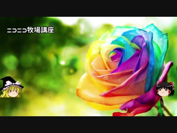 【牧場物語】リアルでもゲームでも牧場part56.5【ゆっくり実況】