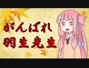 あかね初段への道 その１