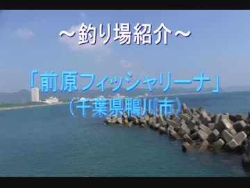 釣り場紹介 その15（前原フィッシャリーナ）