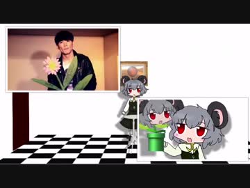 Nynと花 Mv 比較動画 ニコニコ動画