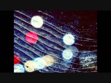【初音ミク】光に見えたんだ【オリジナル】
