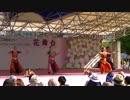 南インド古典舞踊バラタナティアム　アンギカム　第44回神戸まつり