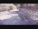 【NNI】　montage　【エレクトロニカ】