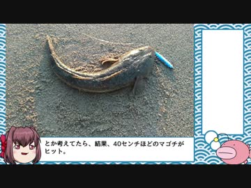 まったり釣行記⑧☆2017年4～9月