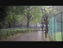 【ニコ生用】上板橋の城北公園でSONYのNEX-5TとSELP1650のテスト【散歩】