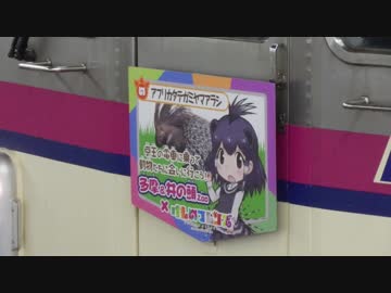 ★KEmOno frIends★