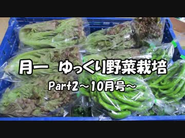 月一 ゆっくり野菜栽培 Part2