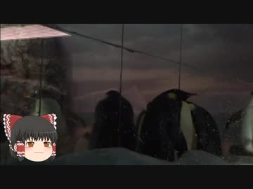 ゆっくりれいむのアクア放浪記　#30　名古屋港水族館