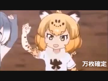 (ｳｨｰ)リオンジャガー