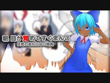 朝、目が覚めてすぐまんこ　～狂気のANNYUI姉貴
