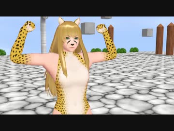 チーターマンの曲（アレンジ）