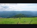 【生海月】なまくらじお【2017.10.24】