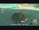 【実況】愛に生きるゼルダの伝説ブレスオブザワイルド part104