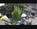 Traveling to VIETNAM  #02 ベトナム旅行