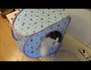 落下事故151023