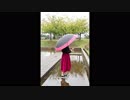 【ひまわりん】オレンジ【雨の中踊ってみた】3