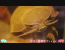 【山とか神宮とか】食費節約しない夫婦の食卓【2017年4月後半】