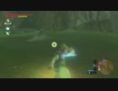 依頼を受けて、変装中のイーガ団が気絶するか試してみた